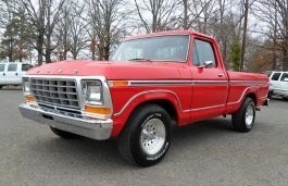 Pickup Regular Cab VI