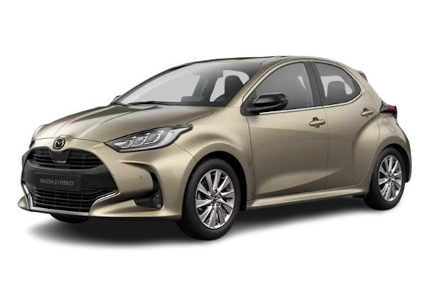 Hatchback XP210 (TNGA: GA-B)