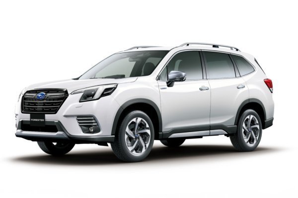 Closed Off-Road Vehicle SK Facelift